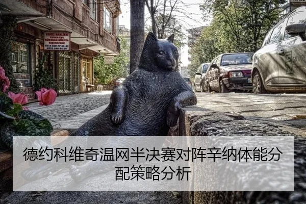 德约科维奇温网半决赛对阵辛纳体能分配策略分析